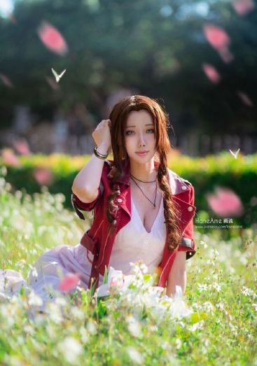 花蝴蝶免费版大全专辑