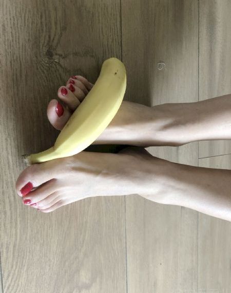 秘密森林韩剧电视剧全集免费播放