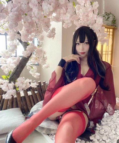 少帅 电视剧