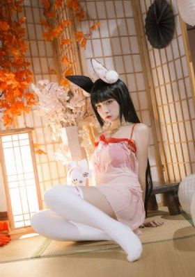电视剧女士的品格免费观看完整版
