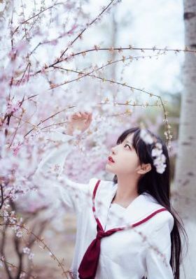 三年中文在线观看免费观看高清版