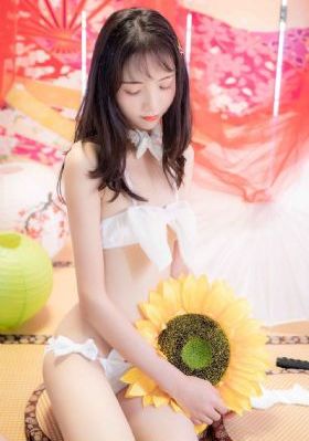 勇敢无双龙秀晶